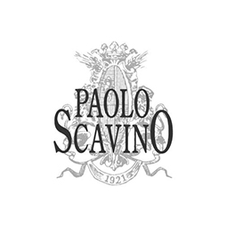 paolo_scavino